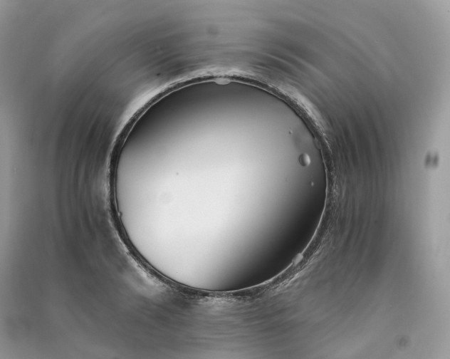 X0000090920894200708131430