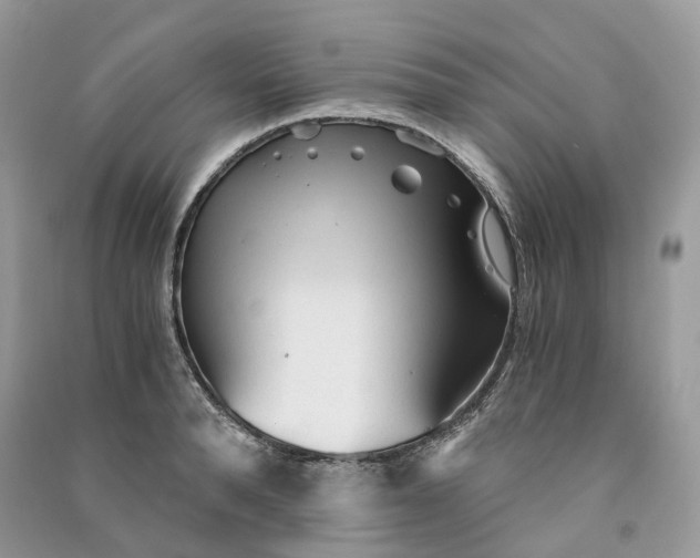 X0000090920896200708131430