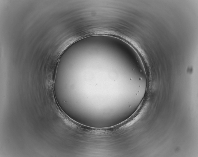 X0000090920897200708131430