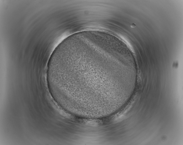 X0000090920899200708131430