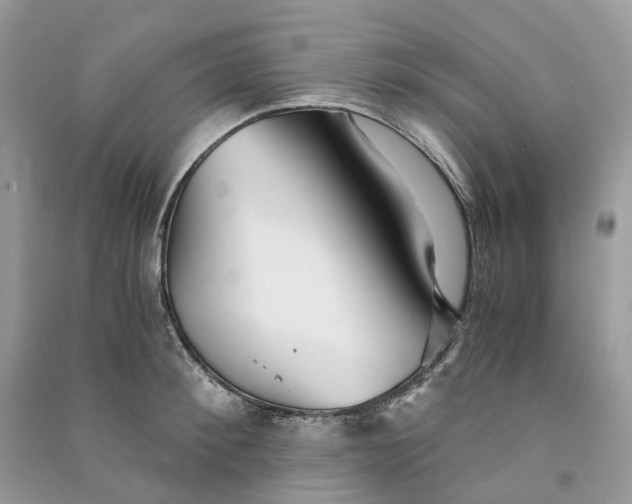 X0000090920900200708131430