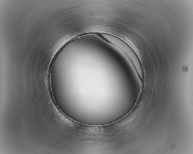 X0000090920901200708131430