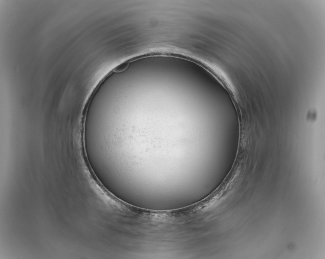 X0000090920903200708131430