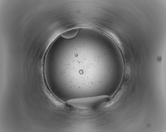 X0000090920907200708131430