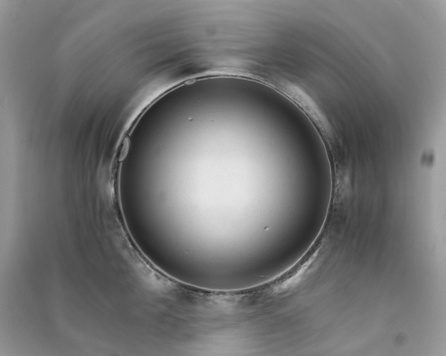 X0000090920908200708131430