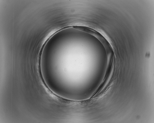 X0000090920909200708131430