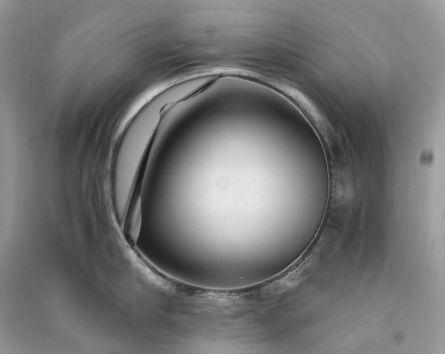 X0000090920910200708131430