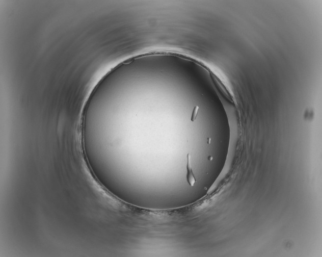 X0000090920911200708131430