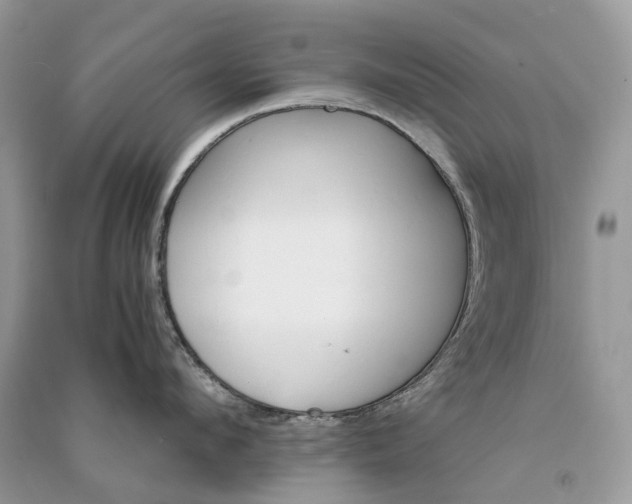 X0000090920912200708131430