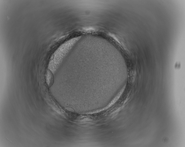 X0000090920913200708131430