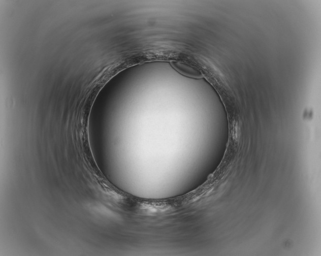 X0000090920915200708131430