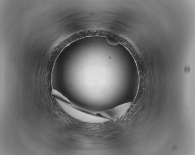 X0000090920919200708131430