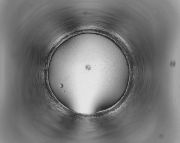 X0000090920921200708131430