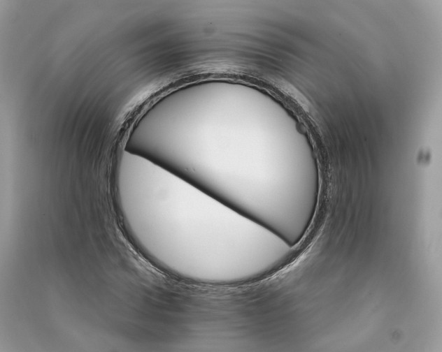 X0000090920922200708131430