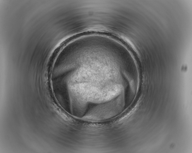 X0000090920923200708131430