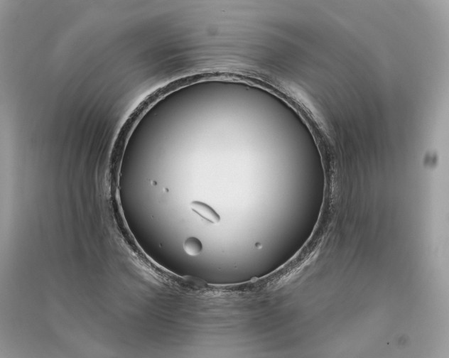 X0000090920924200708131430