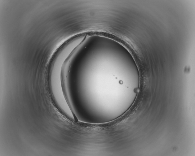 X0000090920926200708131430