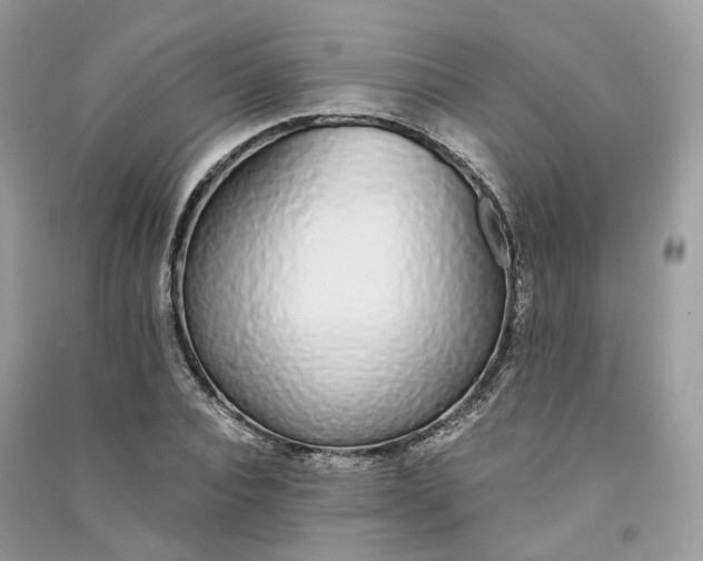 X0000090920928200708131430