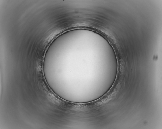 X0000090920929200708131430