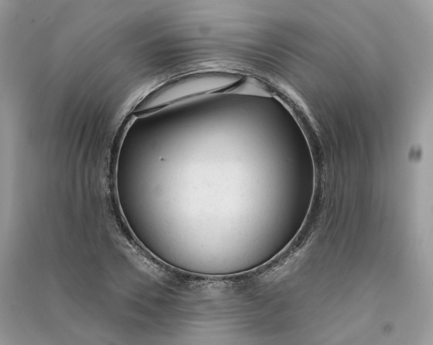 X0000090920930200708131430