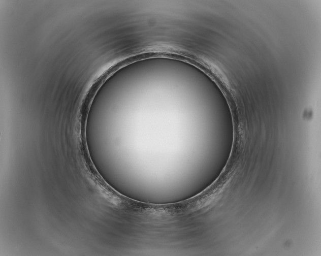 X0000090920931200708131430