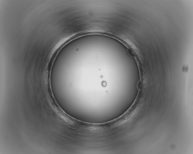 X0000090920933200708131430