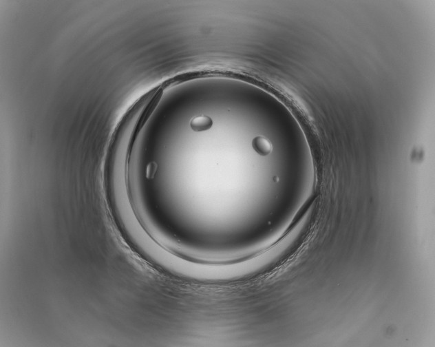 X0000090920936200708131430