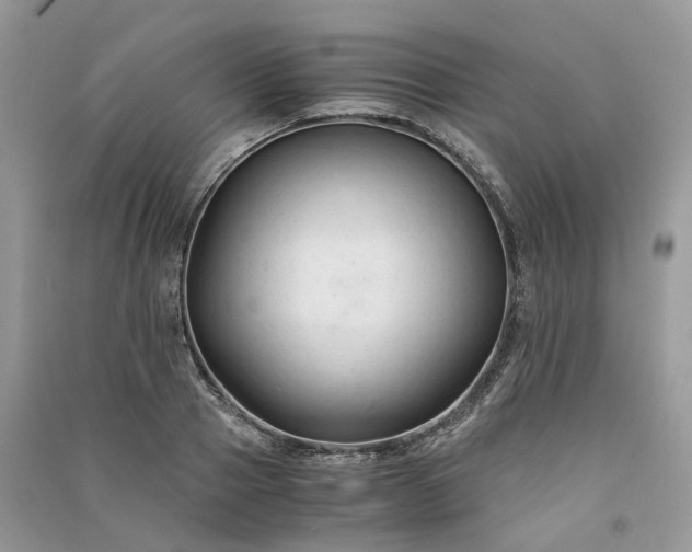 X0000090920937200708131430