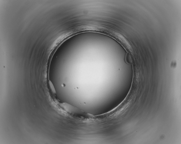 X0000090920938200708131430