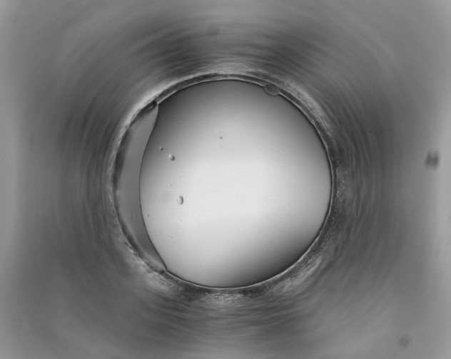 X0000090920939200708131430