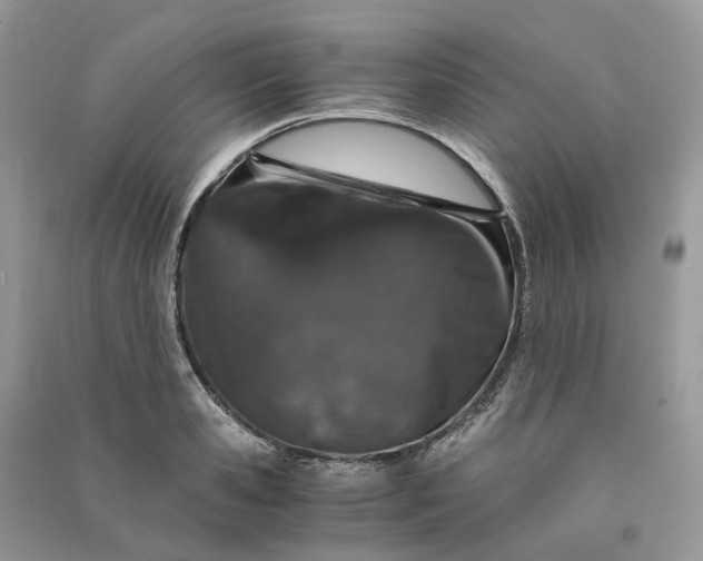 X0000090920941200708131430