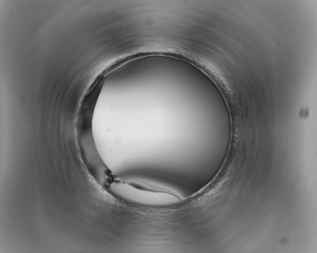 X0000090920942200708131430