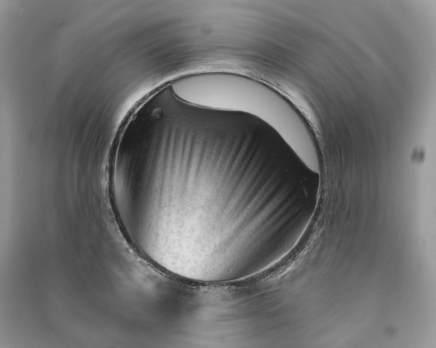 X0000090920944200708131430