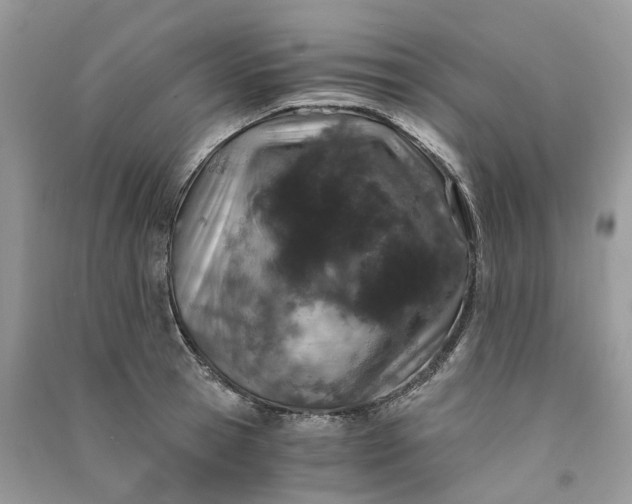 X0000090920945200708131430