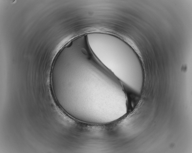 X0000090920946200708131430