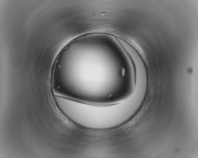 X0000090920948200708131430