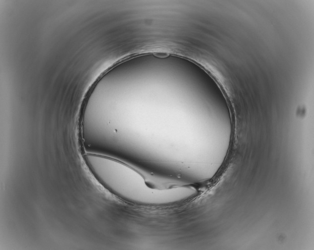 X0000090920949200708131430