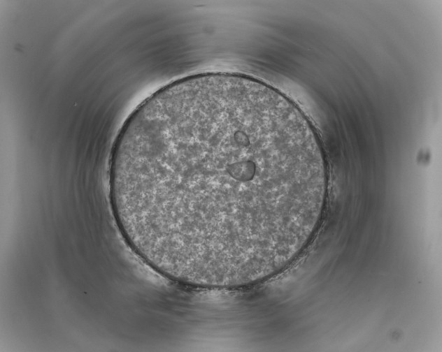 X0000090920950200708131430