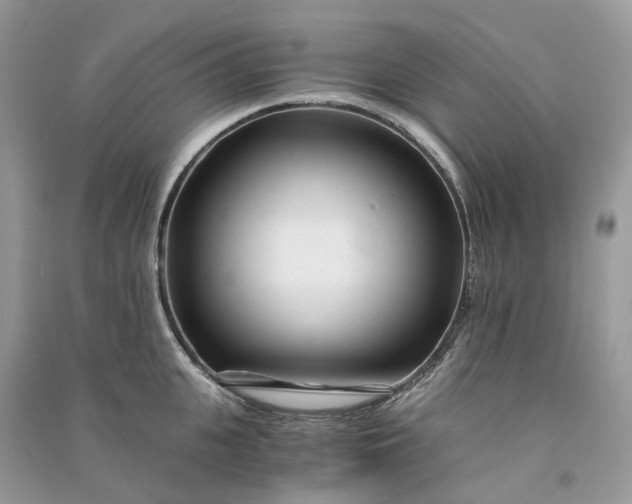 X0000090920951200708131430