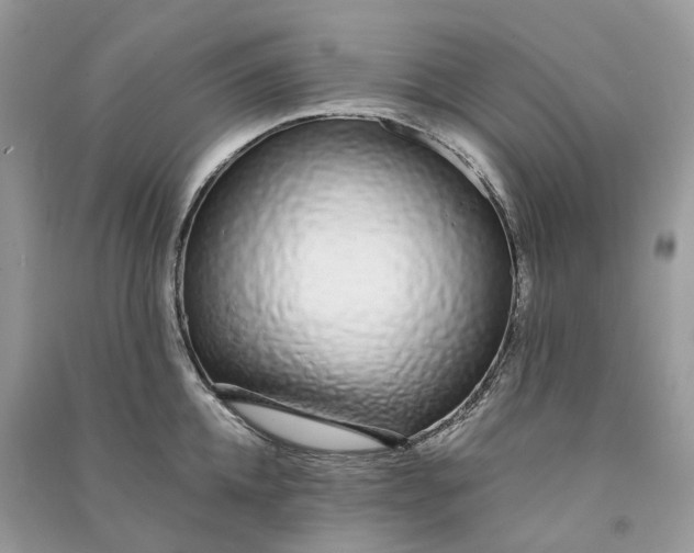 X0000090920952200708131430