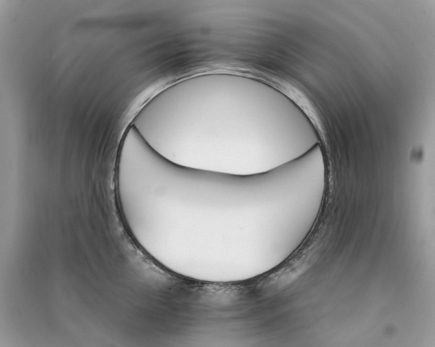 X0000090920954200708131430