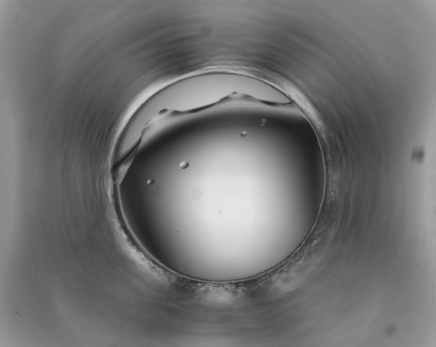 X0000090920955200708131430