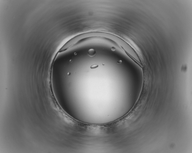 X0000090920956200708131430