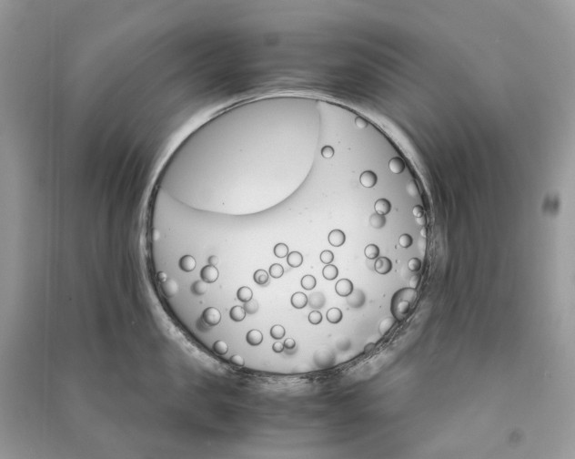 X0000090920957200708131430