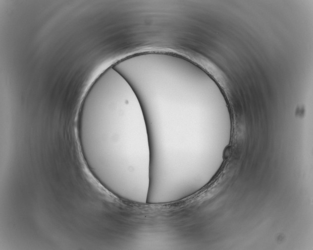 X0000090920958200708131430