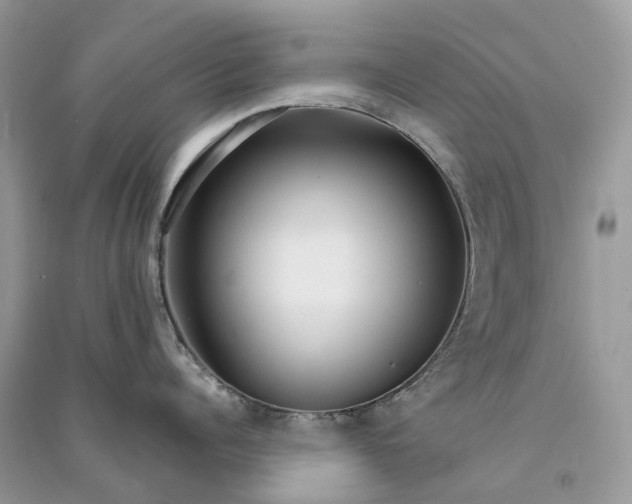 X0000090920960200708131430