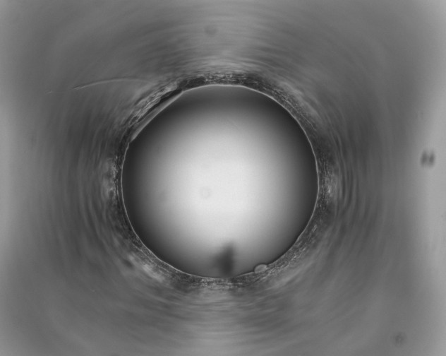 X0000090920964200708131430