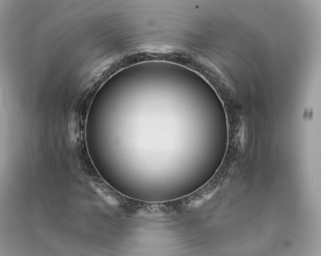 X0000090920966200708131430