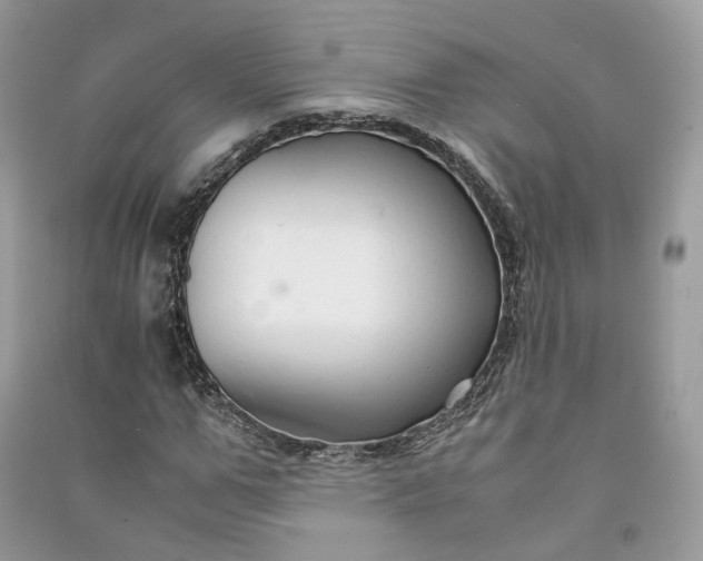 X0000090920967200708131430