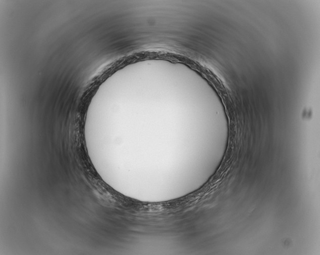 X0000090920968200708131430